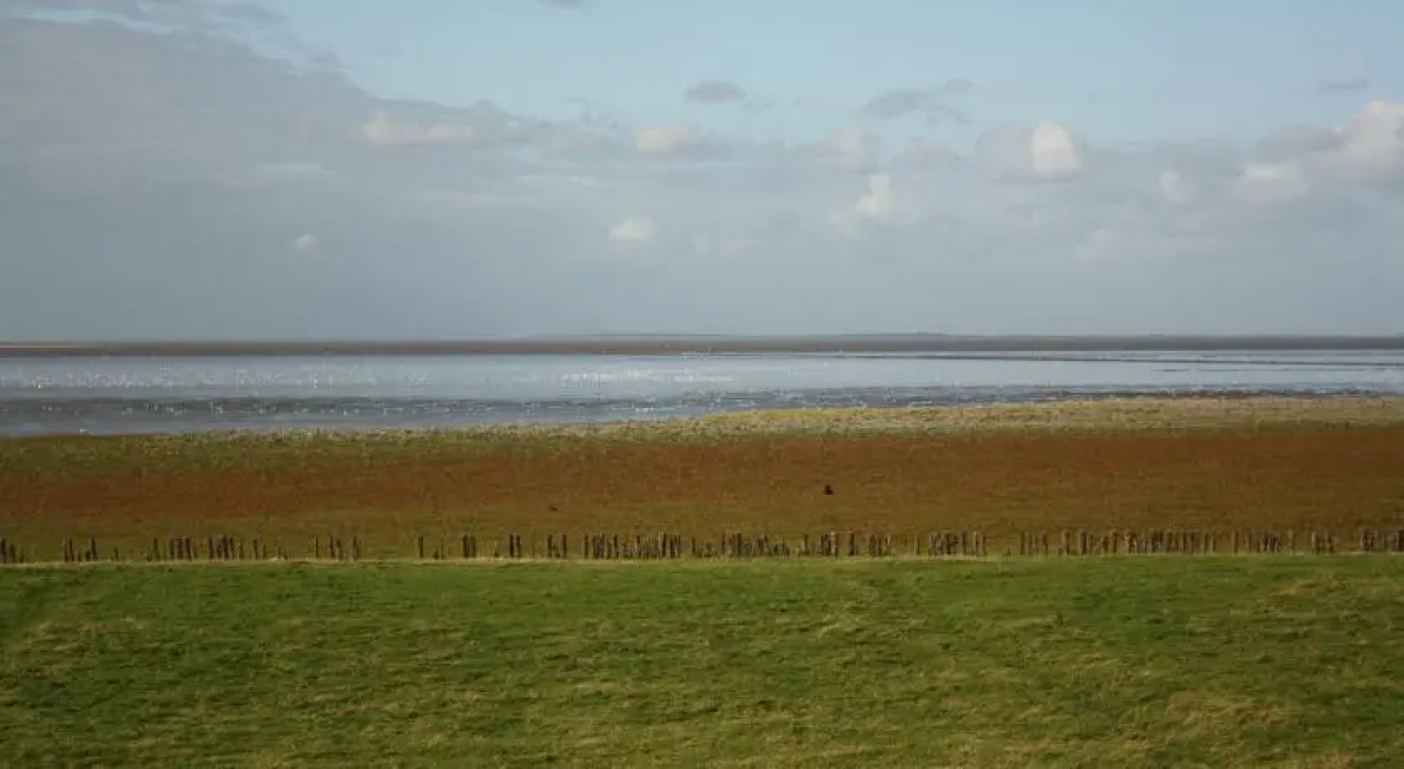 Homestay BartlemaBeetsma