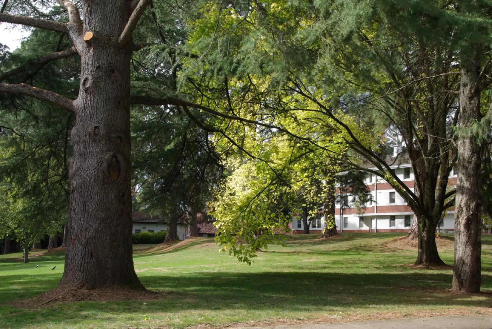 Linaker Art Deco Motel