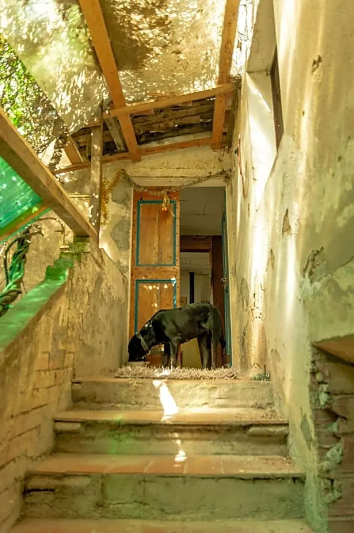 Centro Studi Nuovarmonia