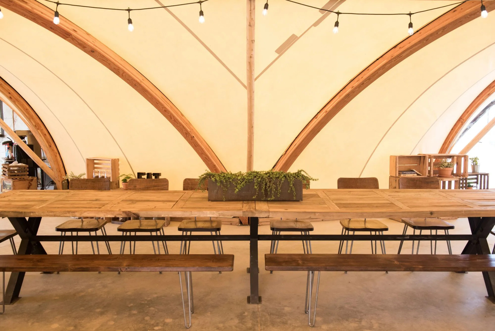 Under Canvas Great Smoky Mountains