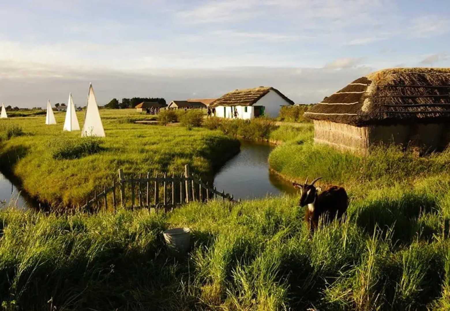 Charmante maison à 500 m du Remblais de Notre-Dame-de-Monts