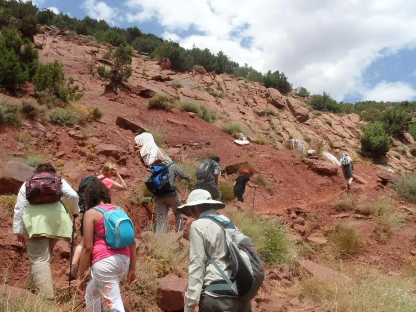 Safranière du M' Goun