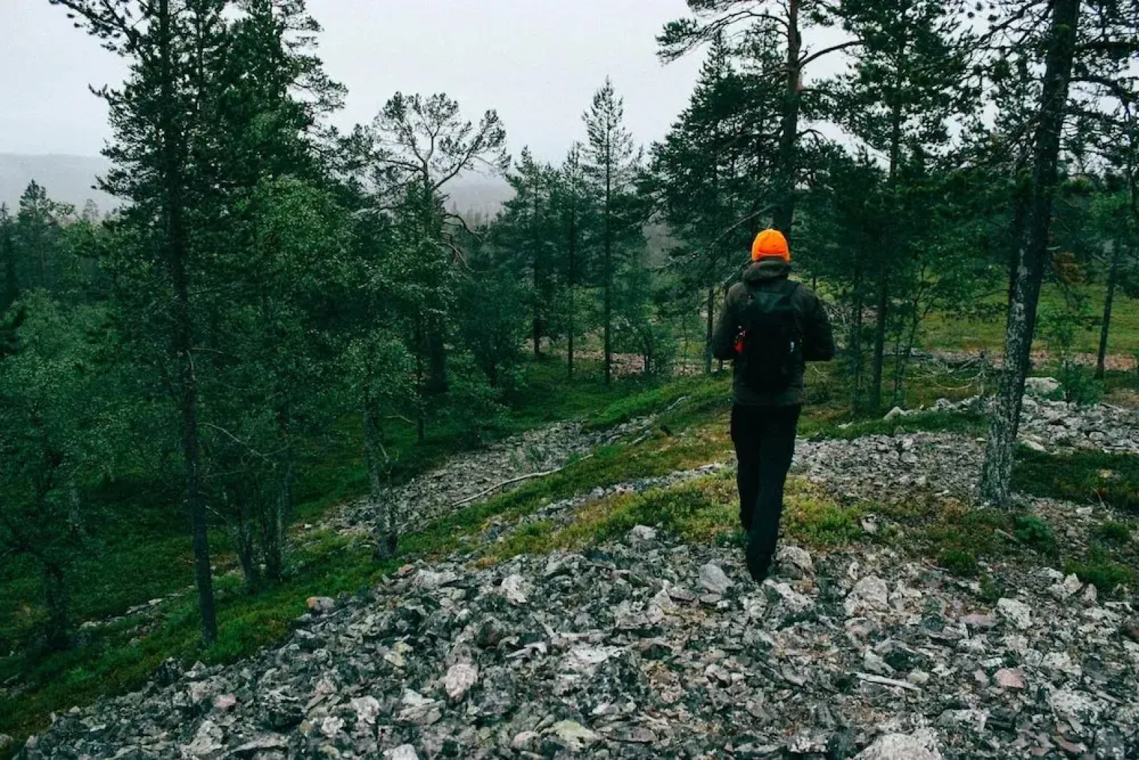 Scandic Hotel Luosto