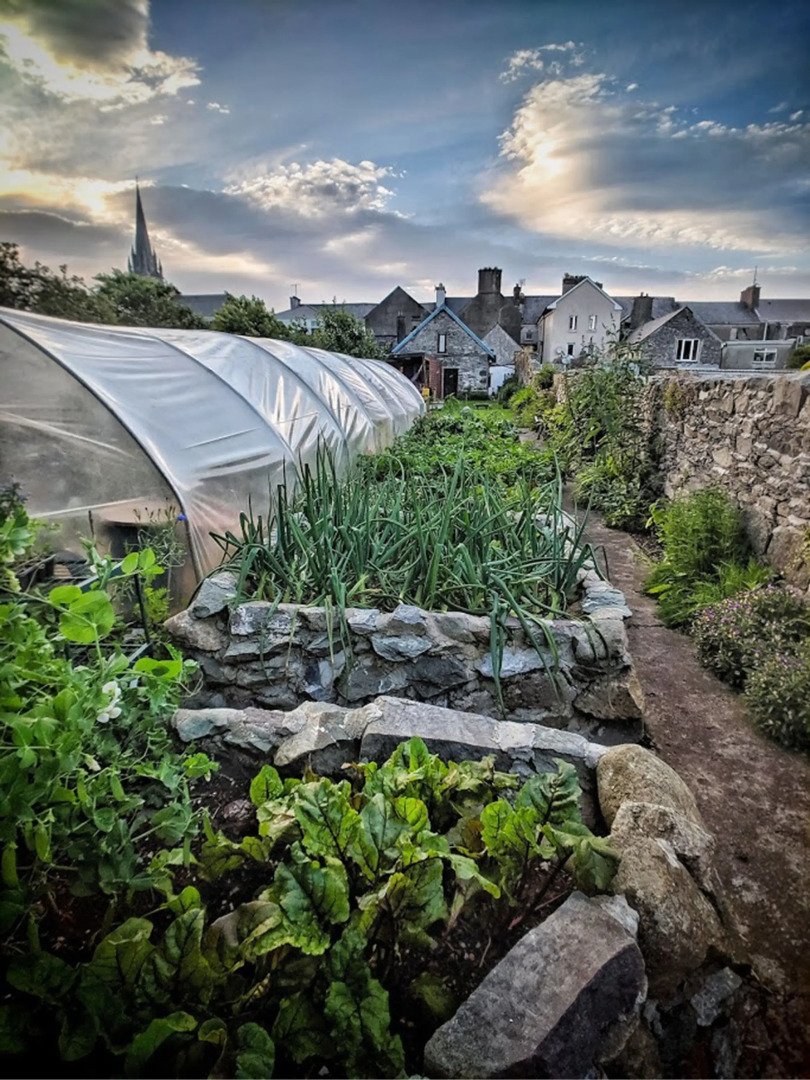 The Black Sheep Hostel