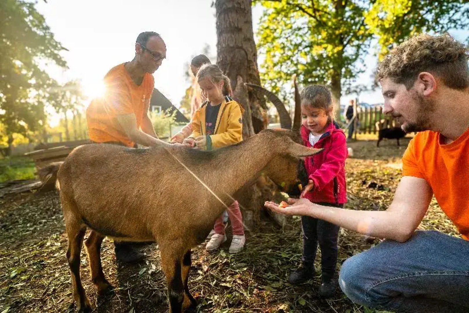VVF Normandie Forges-les-Eaux