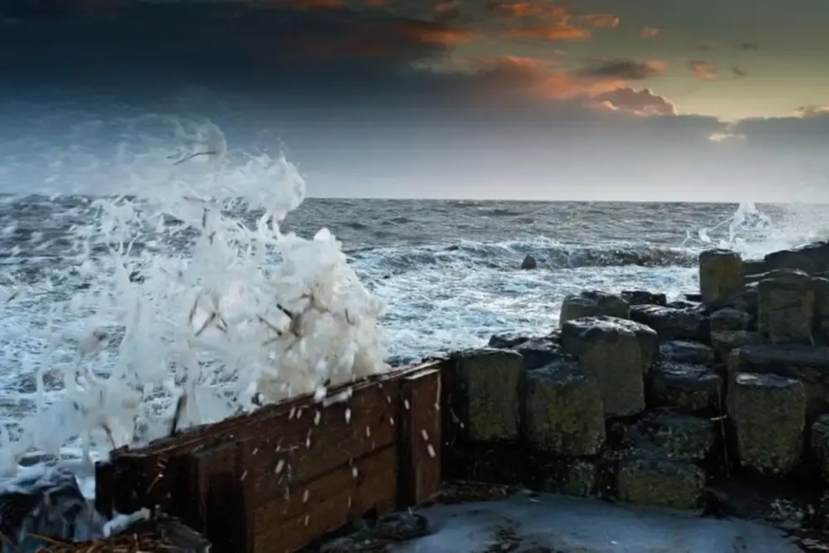 Ferienwohnung im Reetdachhaus auf der Pellworm