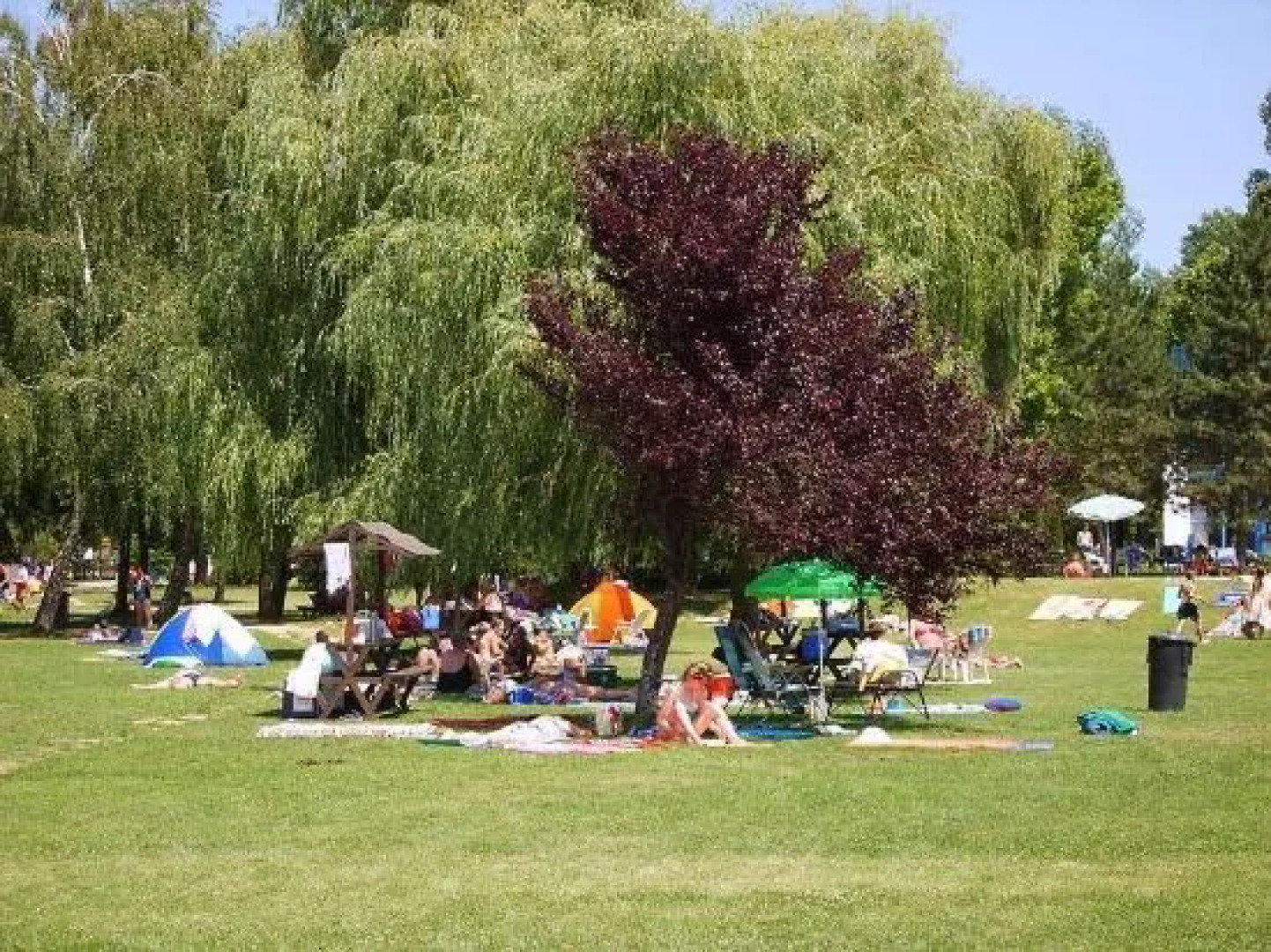 Csokonyavisontai Napsugár Vendégház