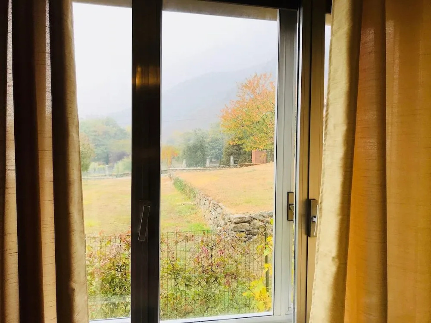 B&B L'Albero Maestro