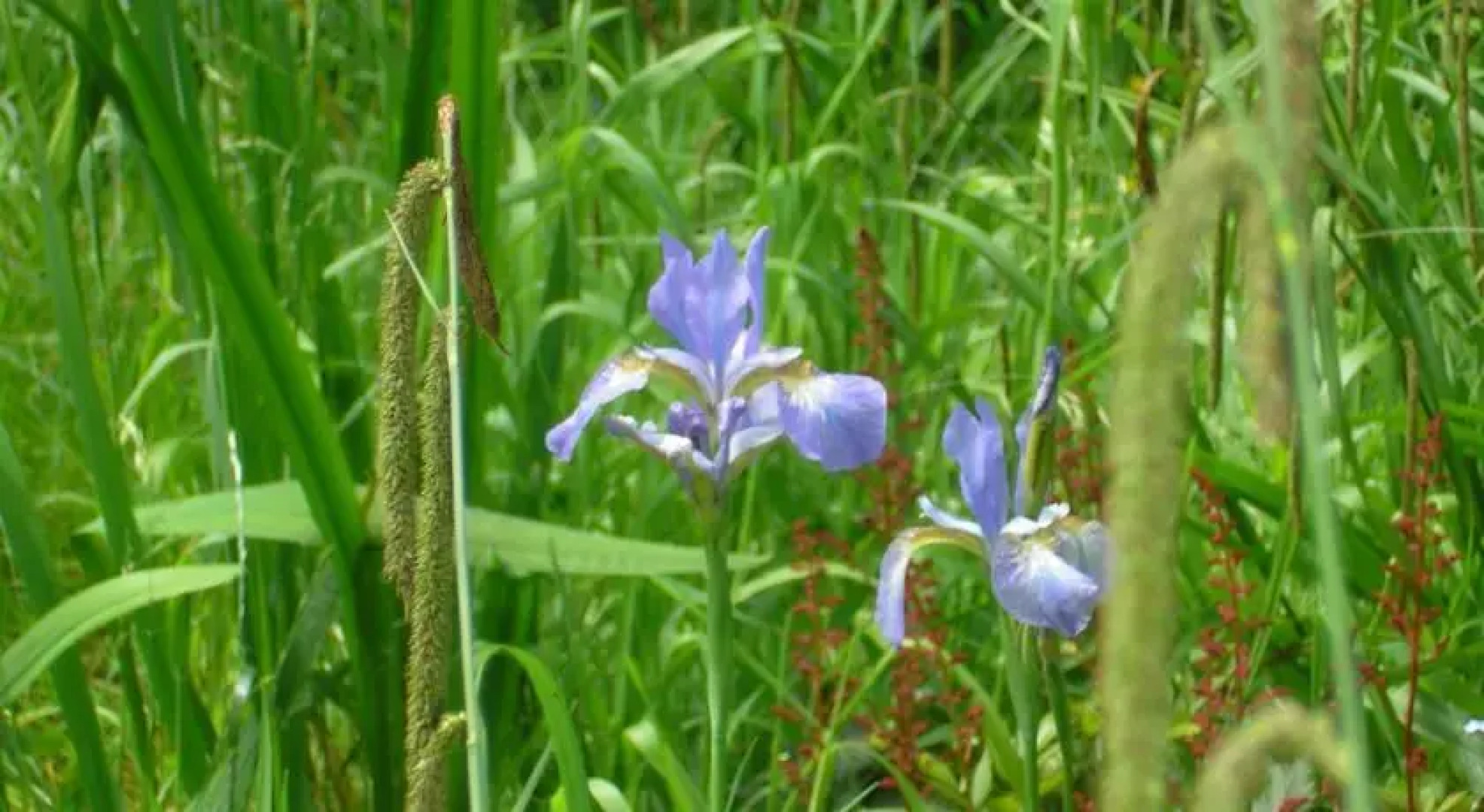 The Old Rectory of St James