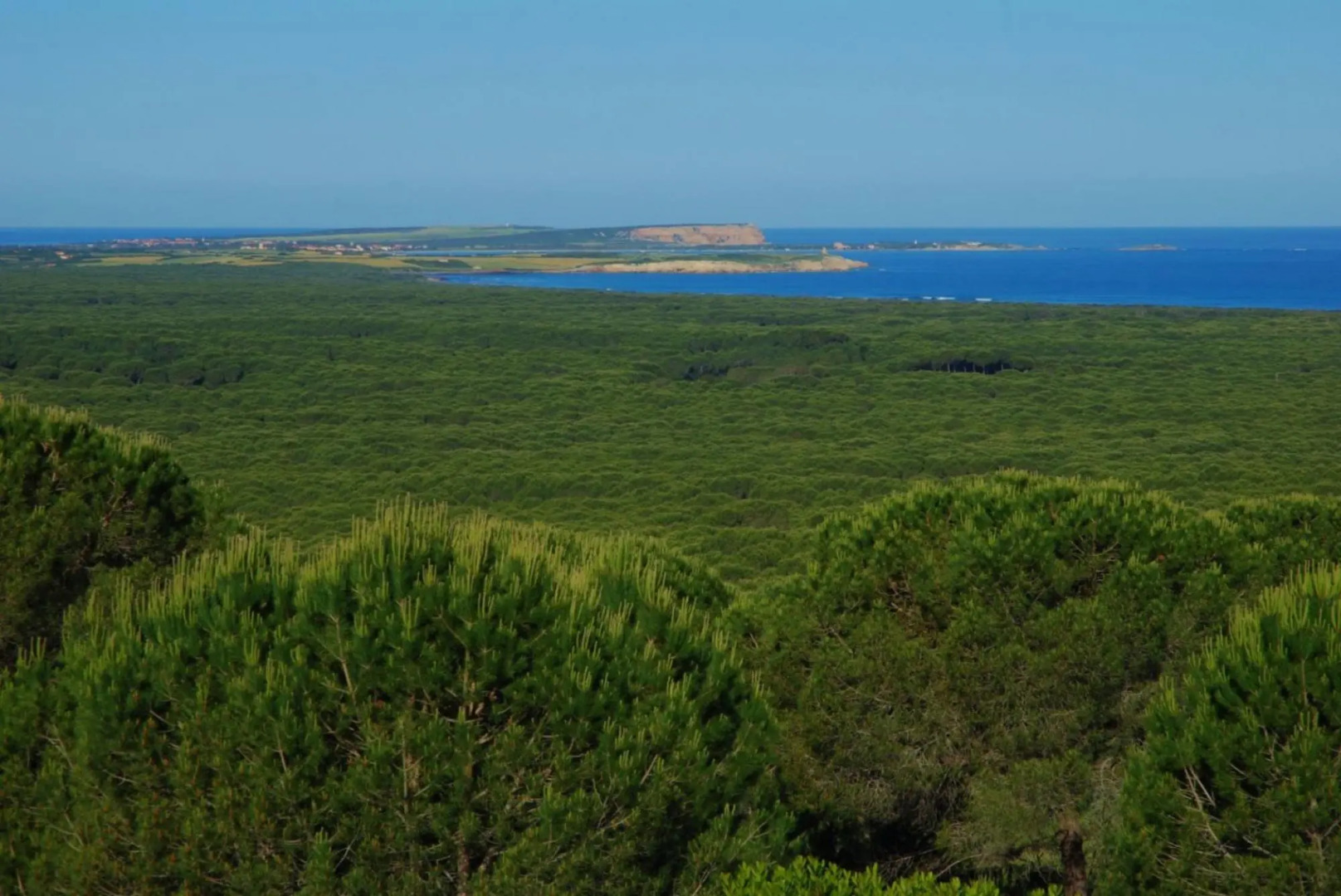 Holiday home with sea view on the beach of Is Arenas and Torre del Pozzo 300 meters from the sea sho-Casa Zinzella