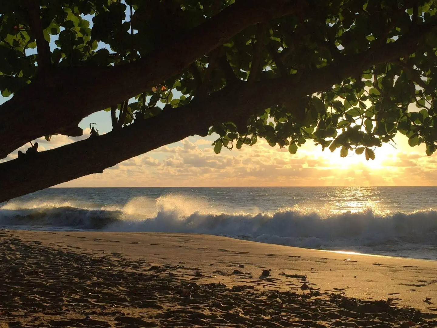 Coqui Cabana at Sea Beach Village