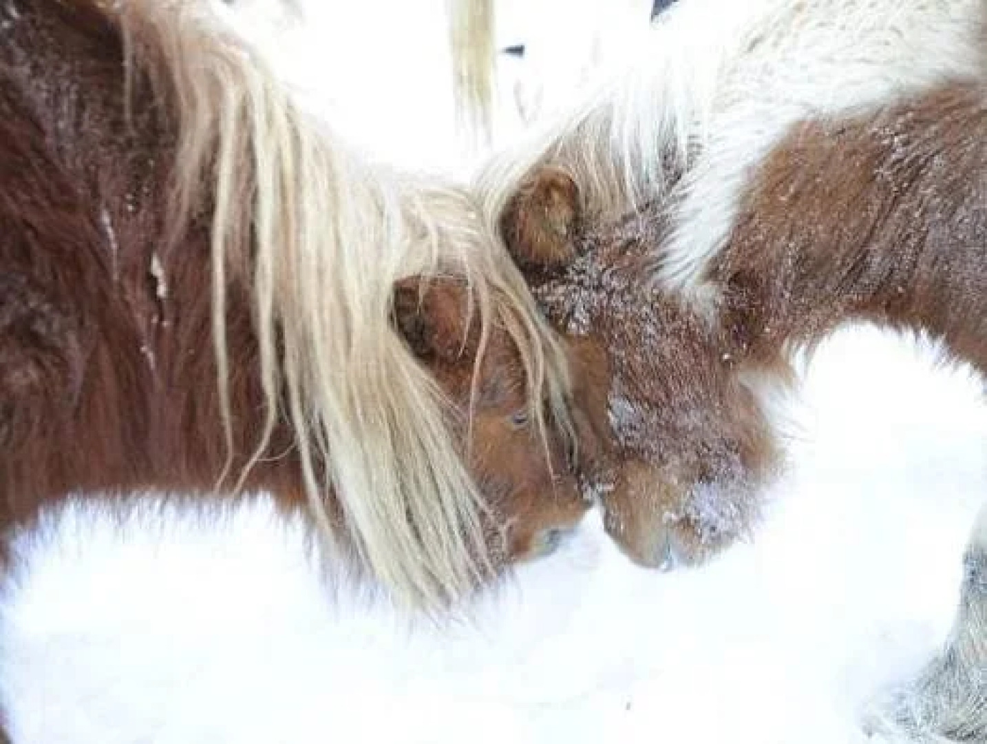 La Ferme des Vonezins