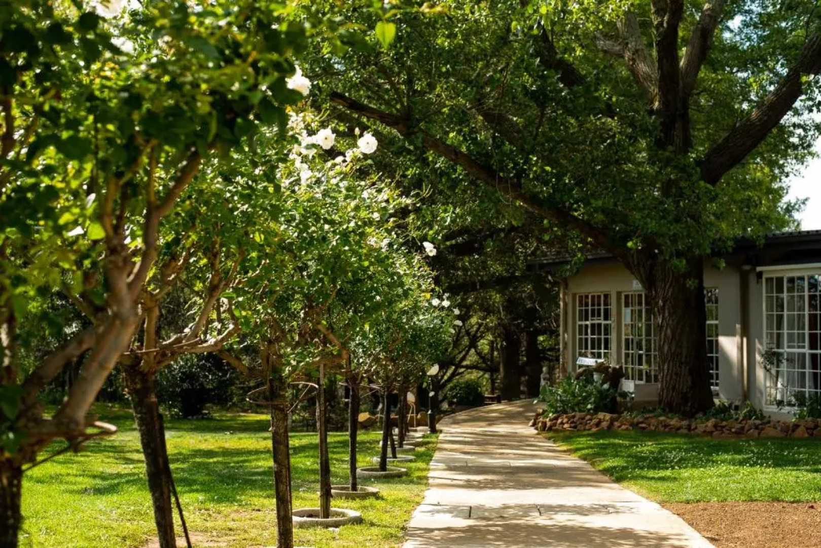 Wetlands Country House & Sheds