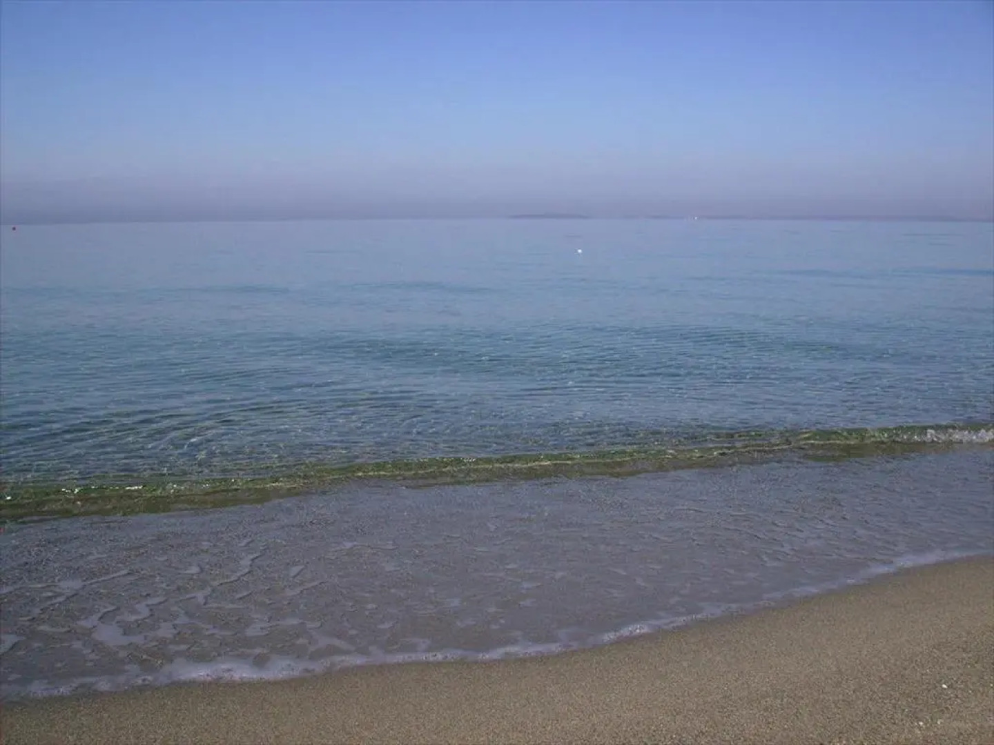 Horse Country Resort Congress & Spa