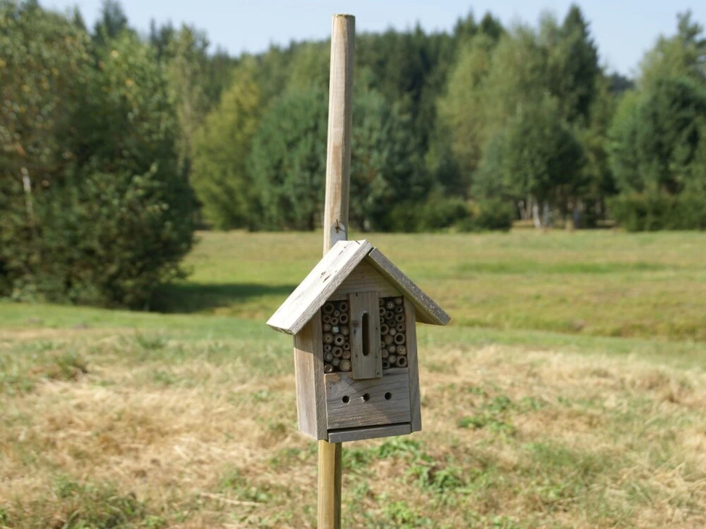 Modern and Luxurious Design Home at the Edge of a Forest and a Stream