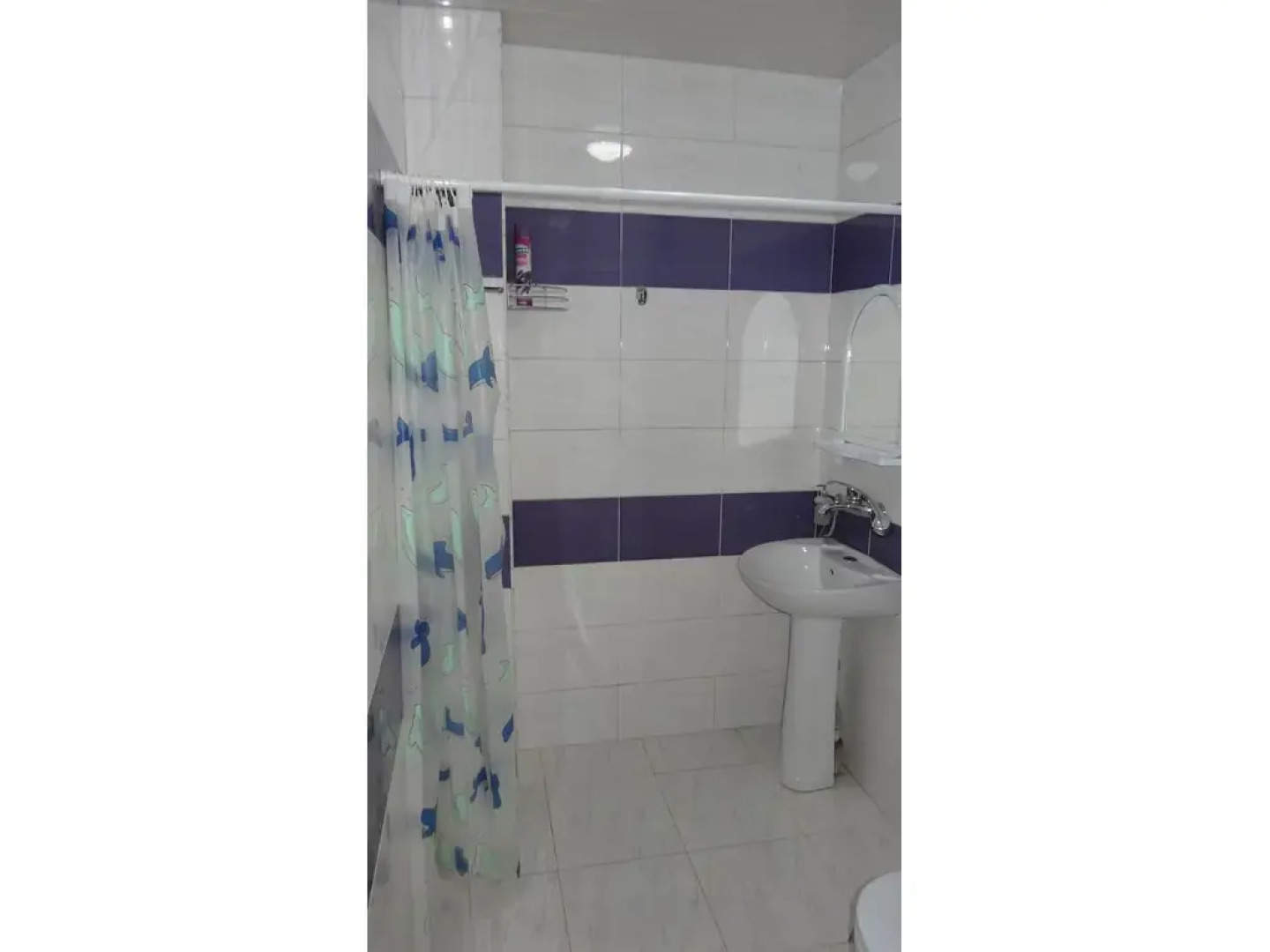 Отель «Рица»