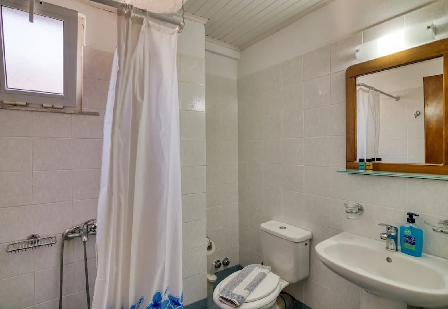 Zante Dolphin II Alykes