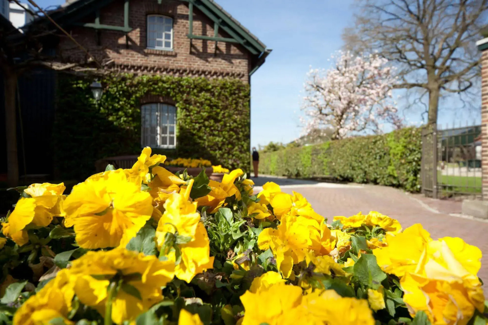 Saillant Hotel Brull