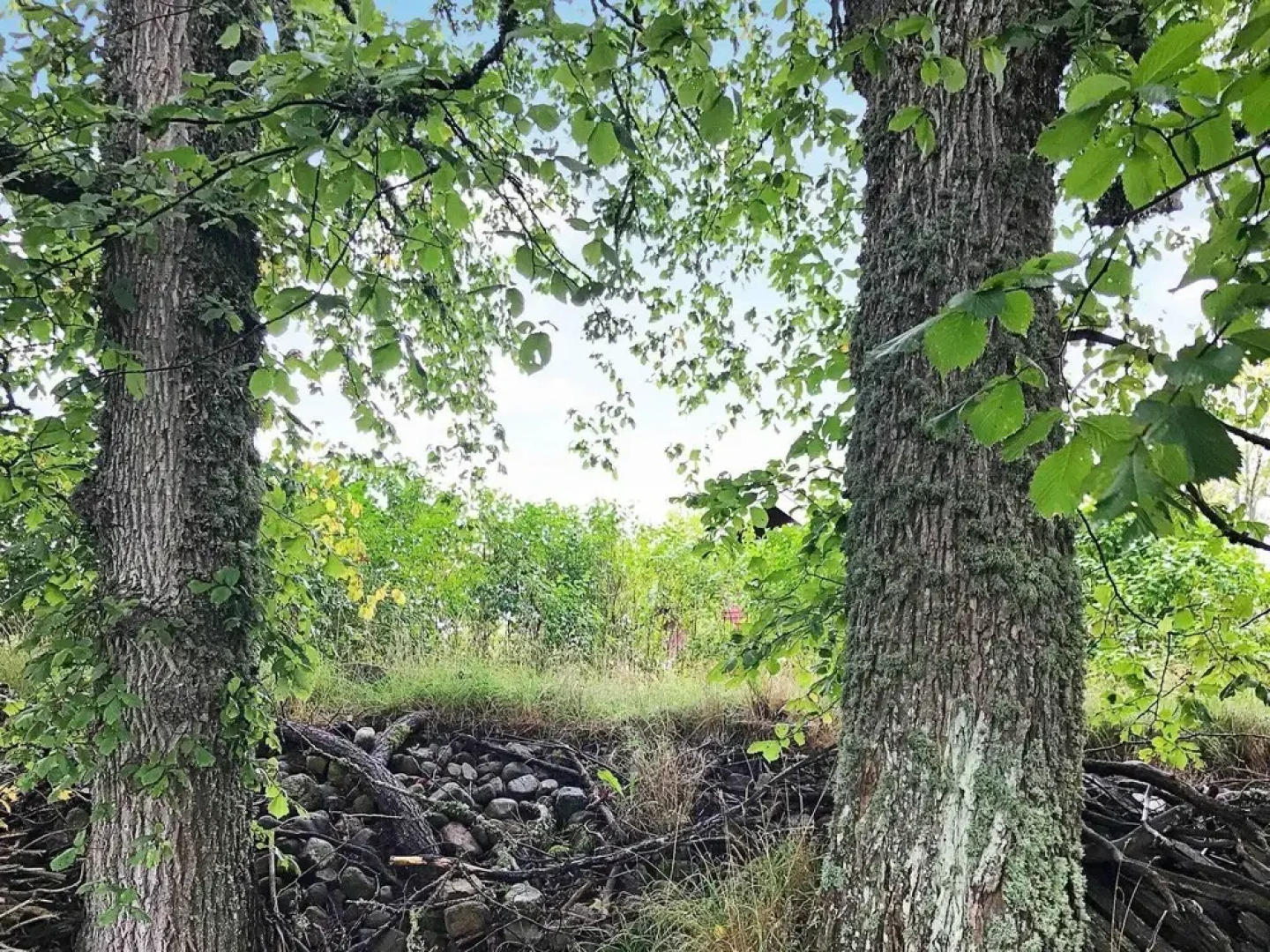 7 Person Holiday Home In Axvall