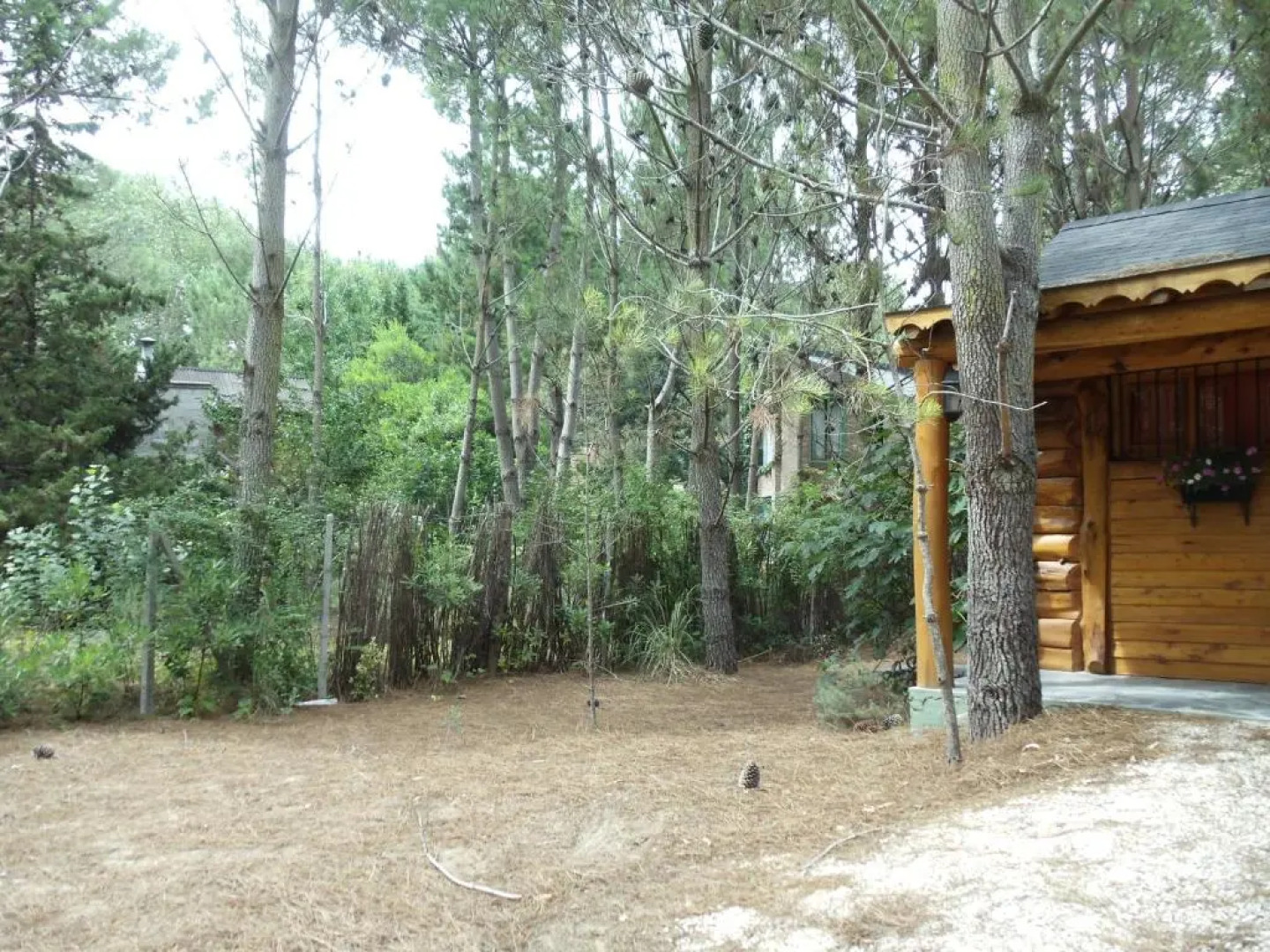 Patagonia Playa Cielo