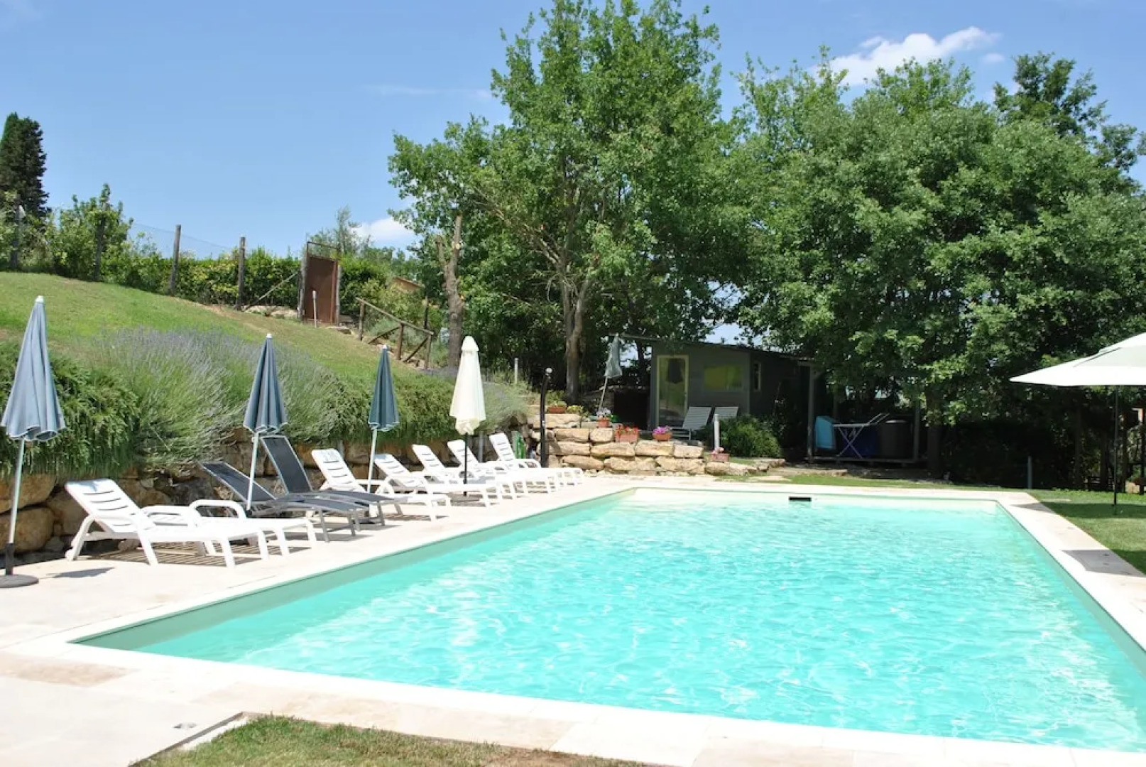 La finestra sul cortile