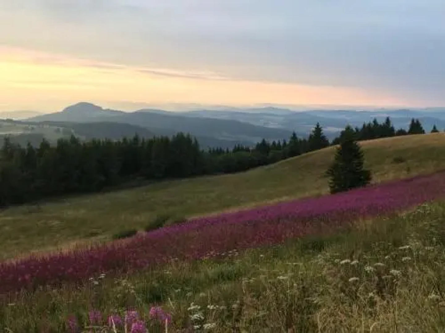 Jagdhaus in der Rhön in völliger Alleinlage