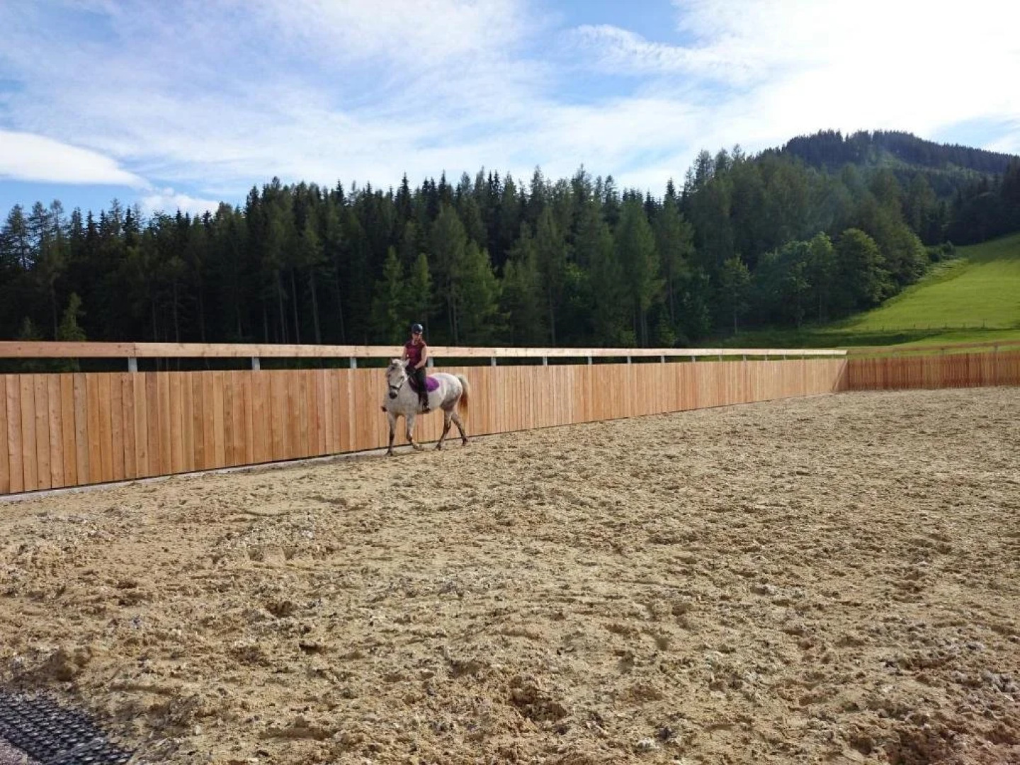 BIO-Bauernhof Kurzeck