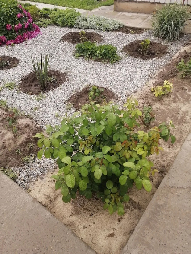 V gostyakh u Baby Poli