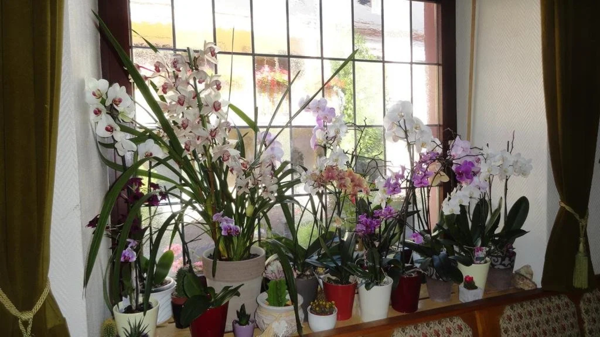 Hotel zur Grafschaft