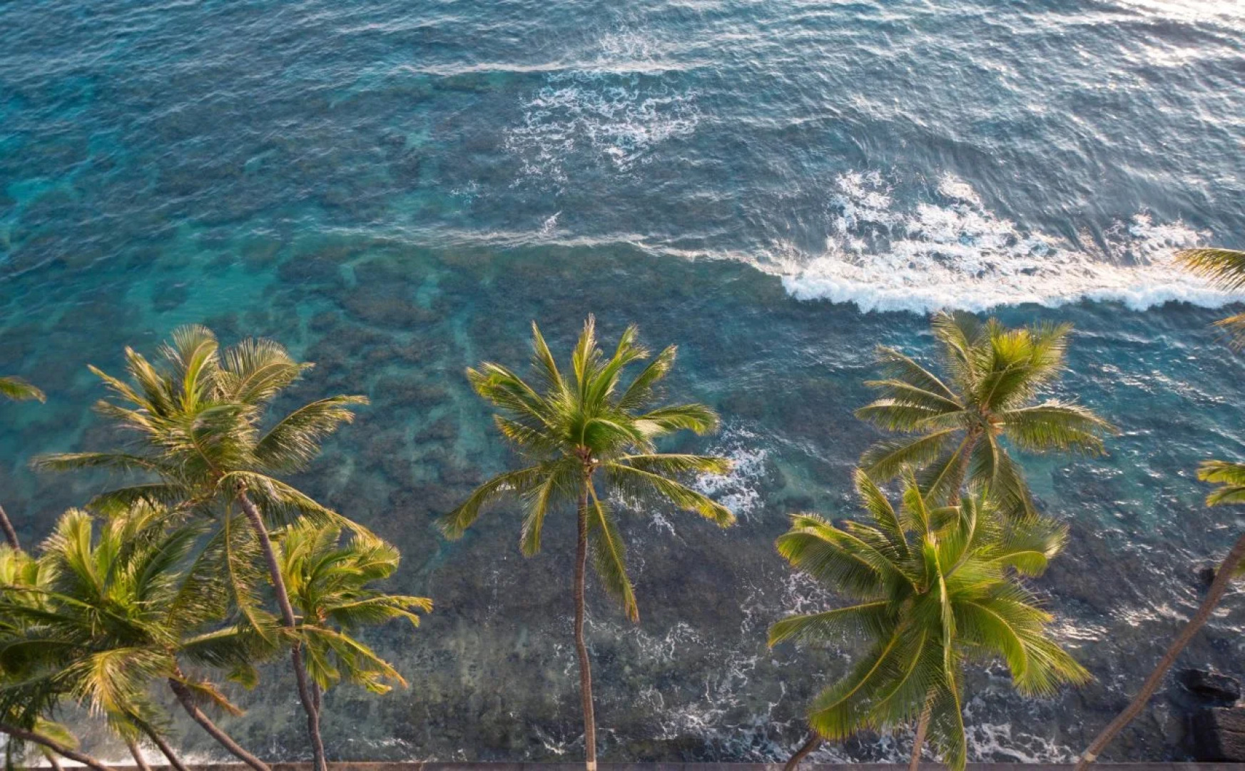 Lotus Honolulu at Diamond Head