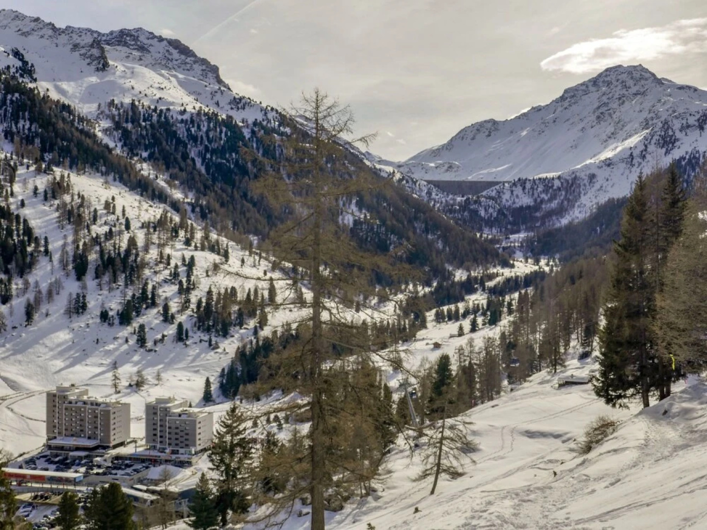 Rosablance E003 B Siviez Nendaz