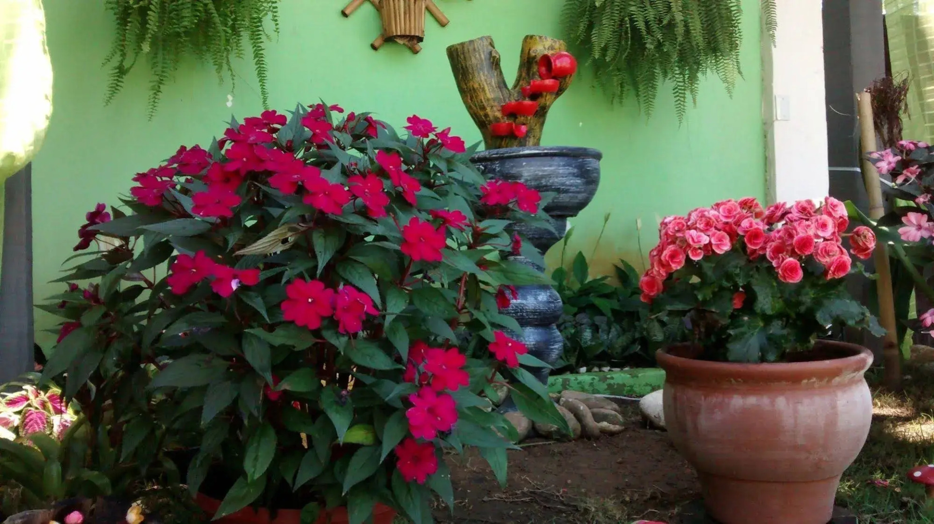 Pousada Flora Búzios