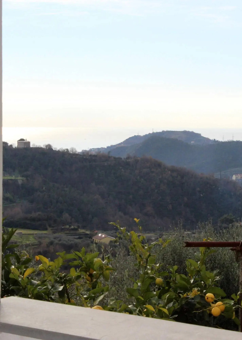 Casa Vacanze Tra Gli Ulivi