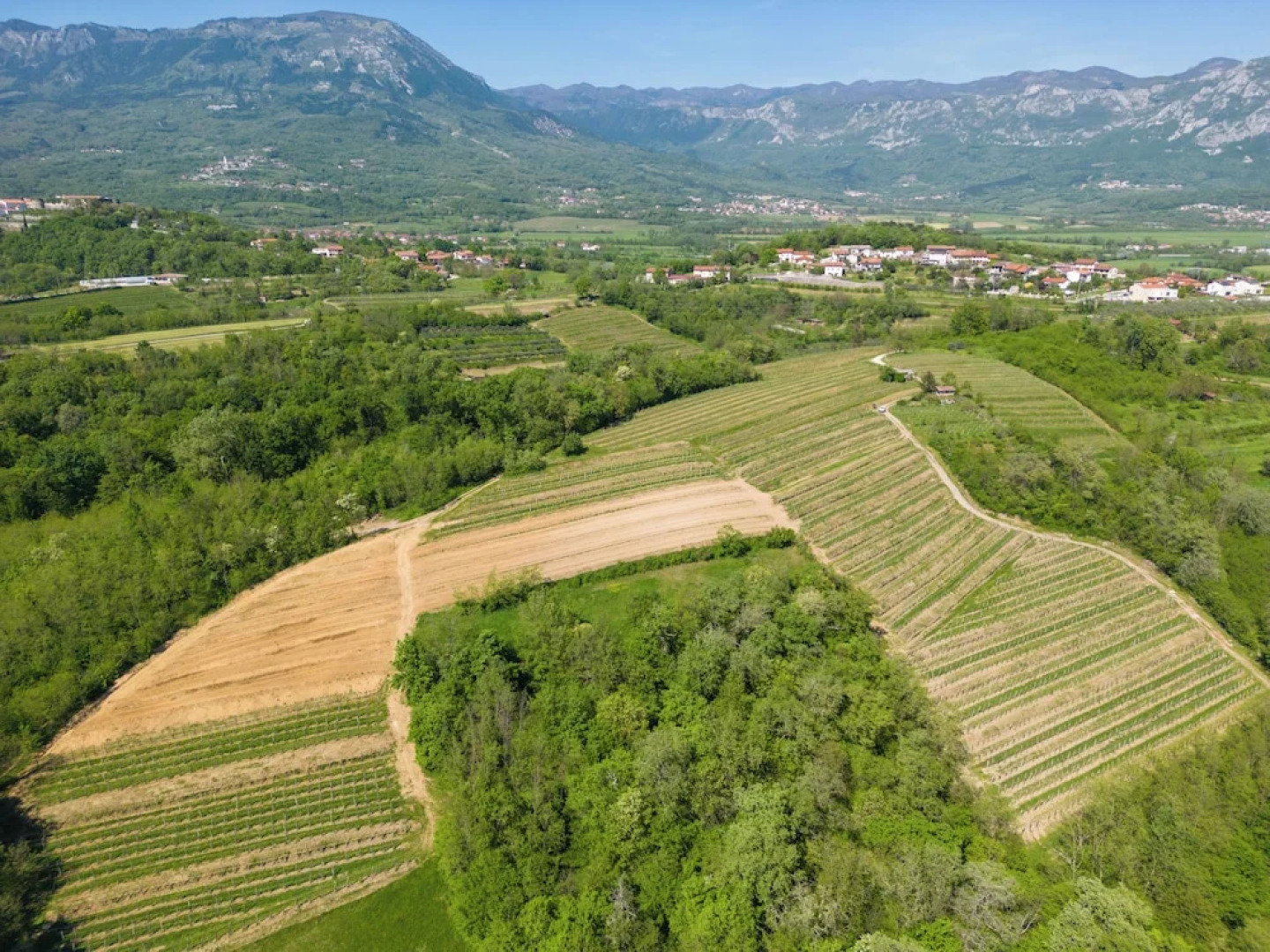 Tourist Farm Valic - Apartment and Winery