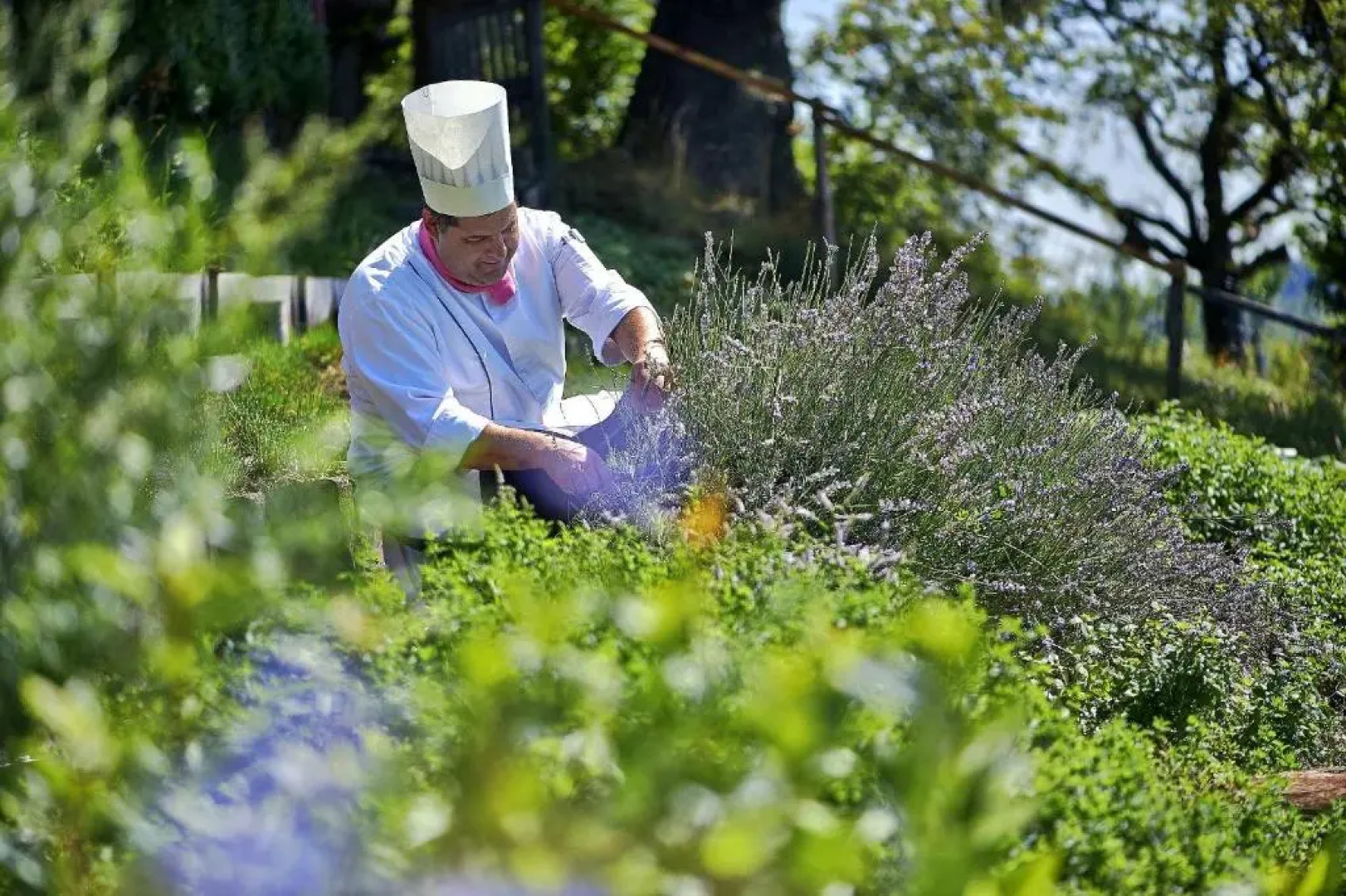 Sorell Boutique-Hotel Zürichberg