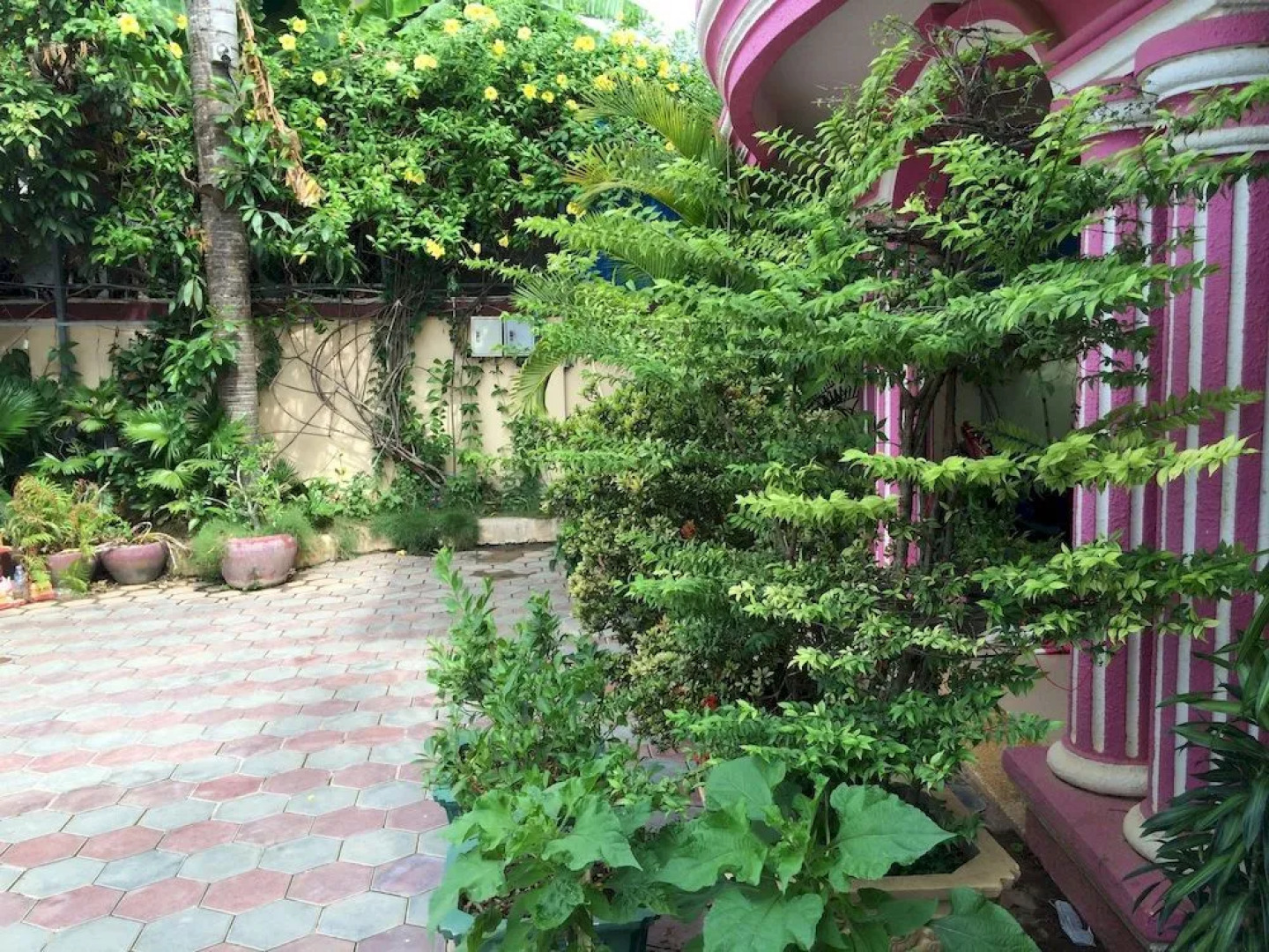 Battambang Lotus Hotel