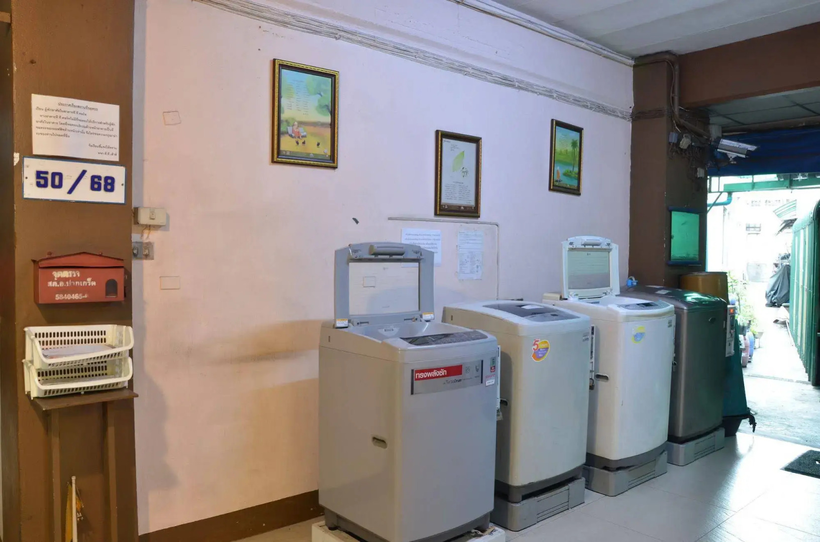 The Backpacker Station