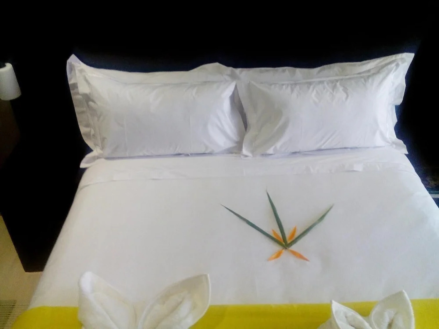 Peaconwood Boutique Bed and Breakfast