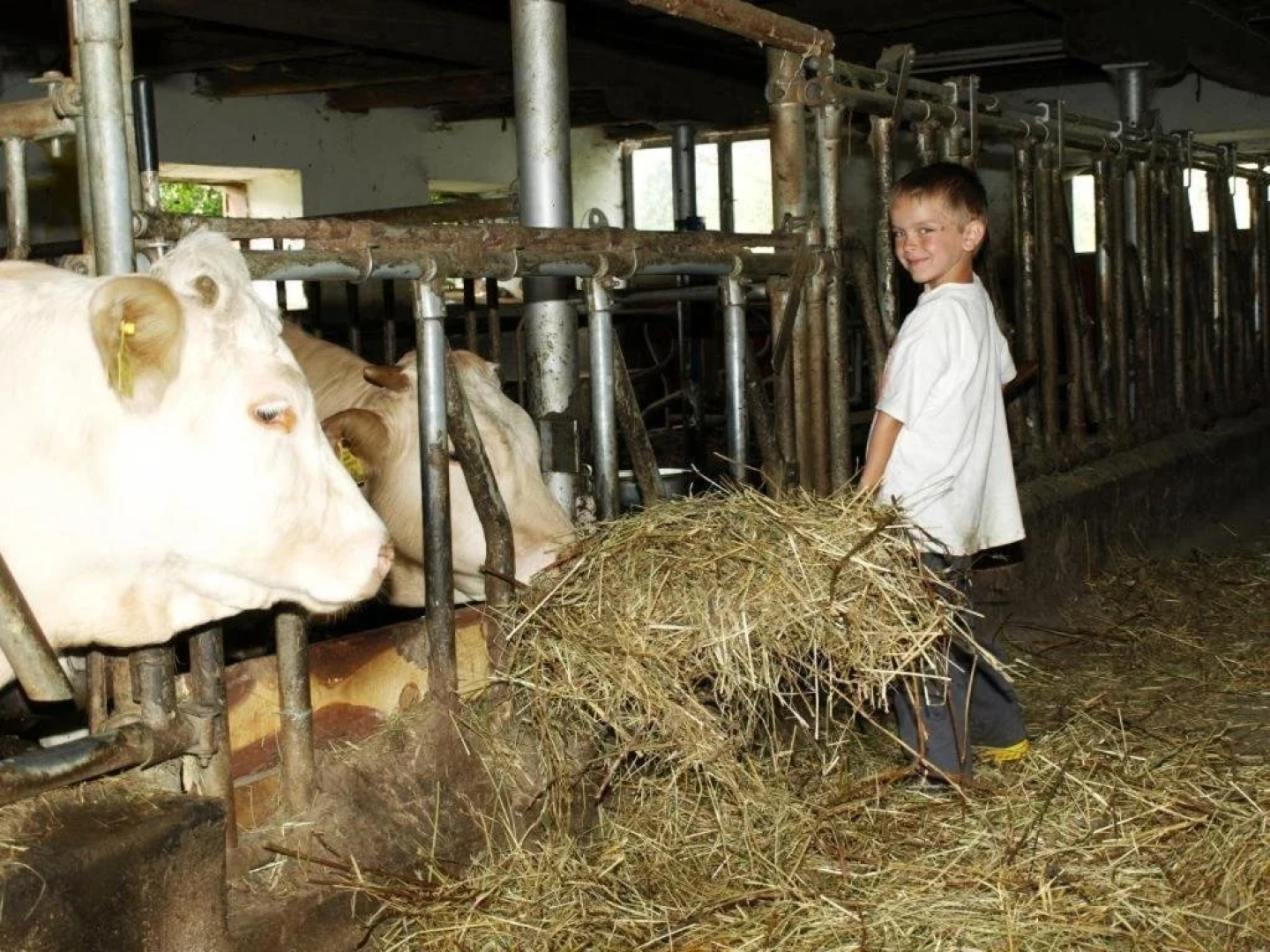 Ferienwohnung am Oberrainerhof