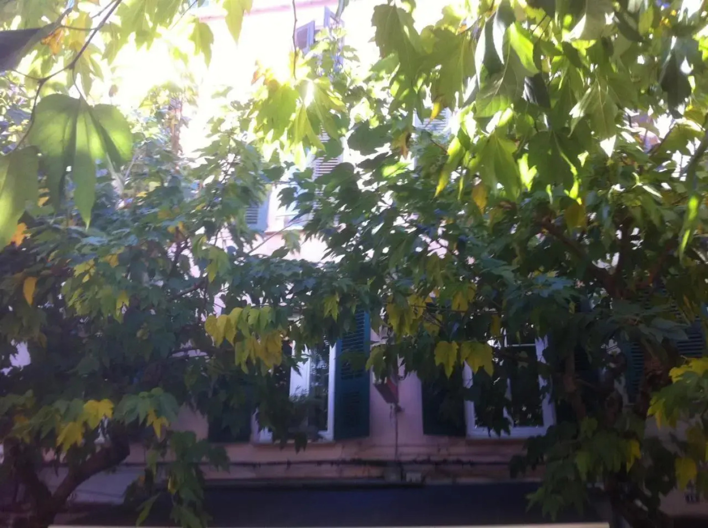 Rï¿½sidence 18Bonaparte