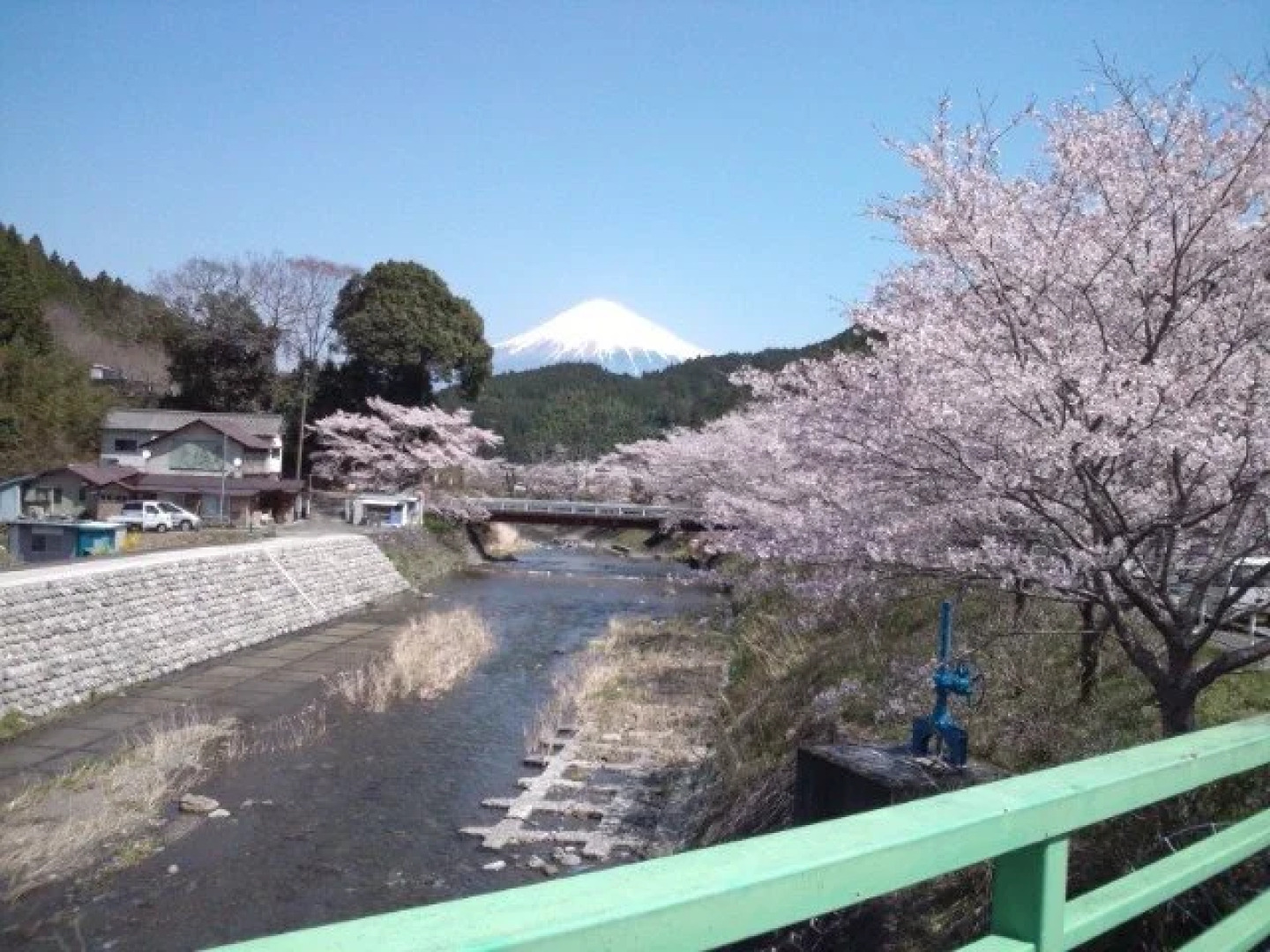 Urijima Onsen Suikouen Sakura