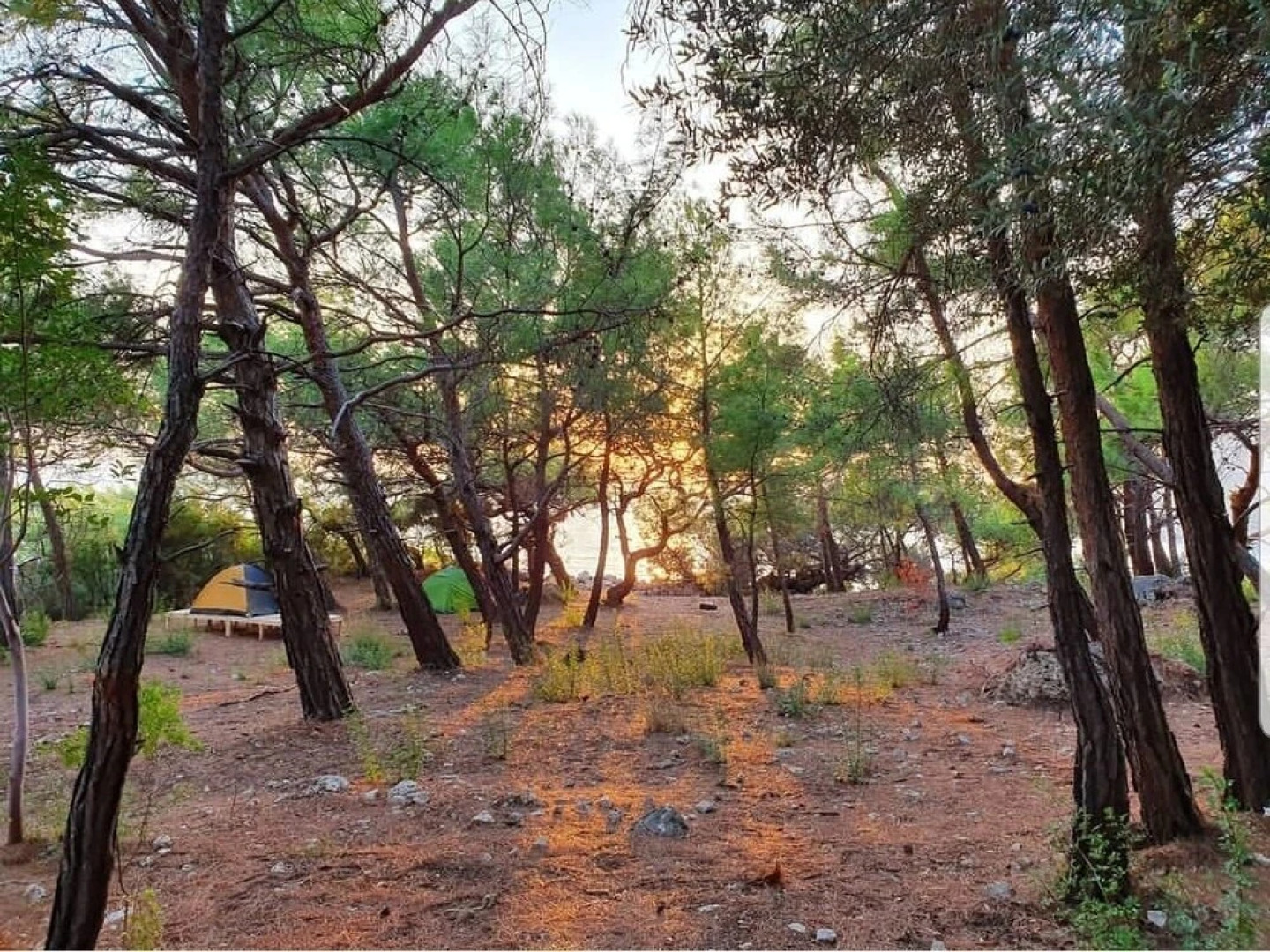 Karadere Park Orman Camping