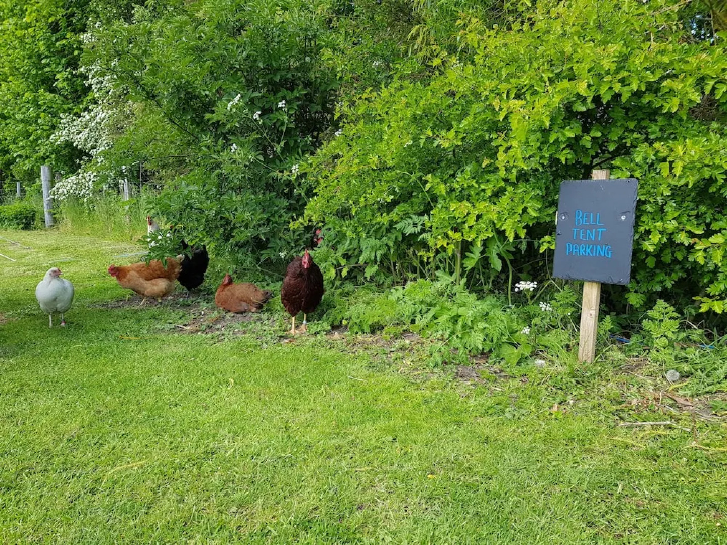 Yapham Holds Farmhouse