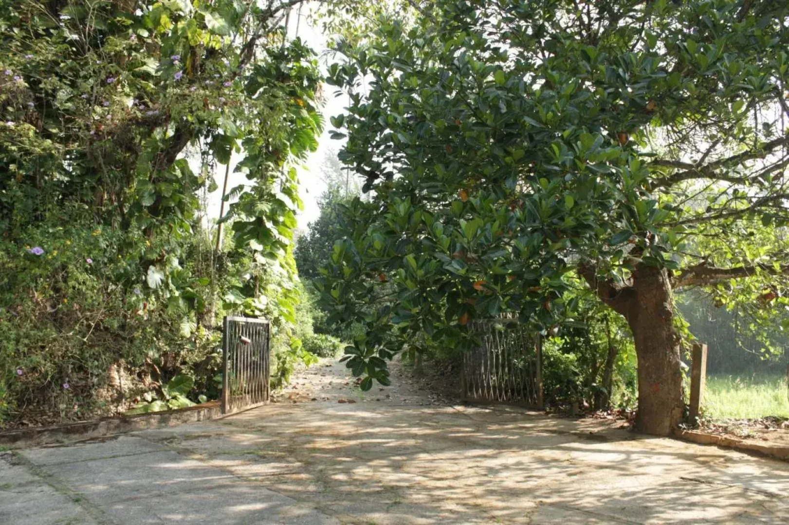 Sundara Mahal Homestay Wayanad