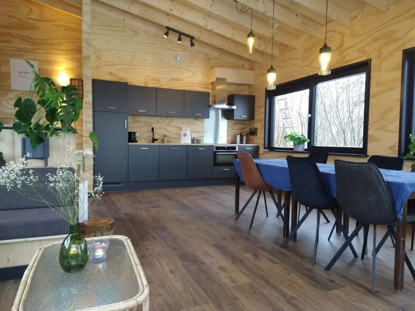 Swarm - 3 Waterlodges Naast Elkaar in Friesland