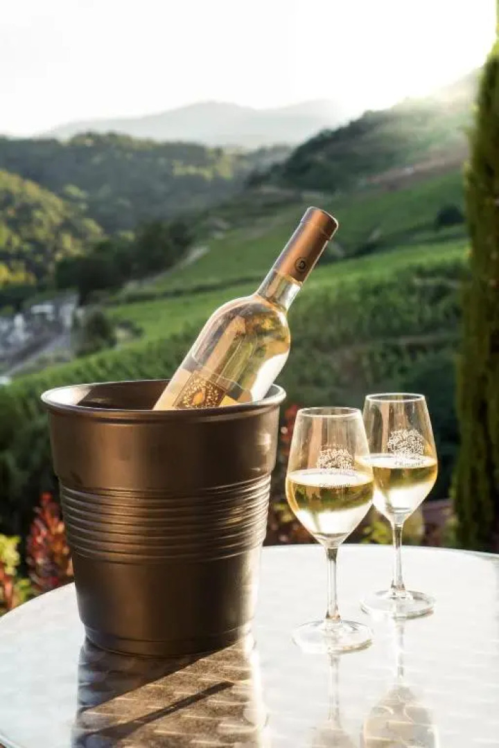 Wine Passion Panoramic