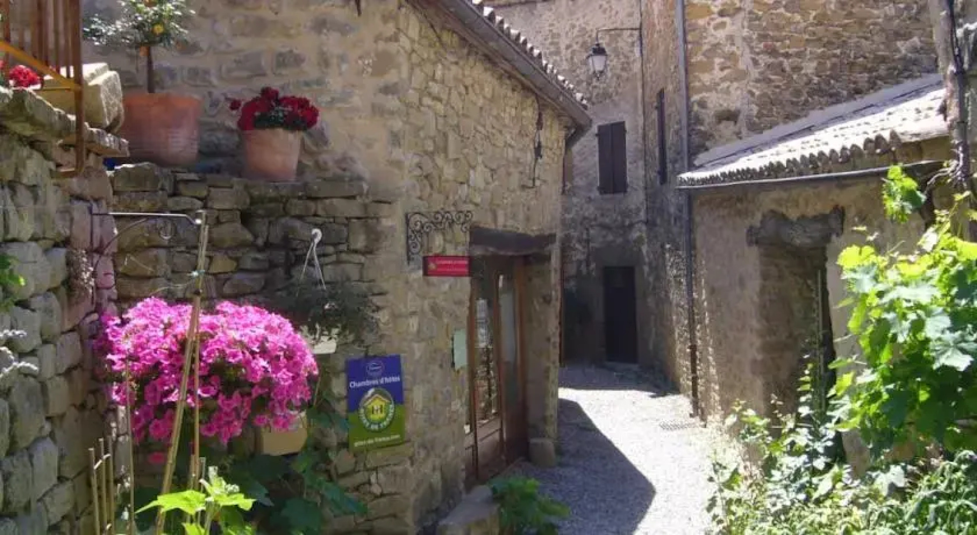 Les Roses Trémières