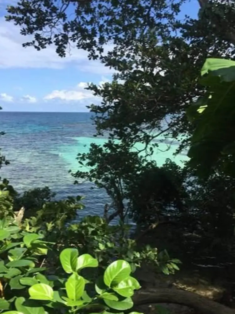 The blue Lagoon Hostel & Private Rooms