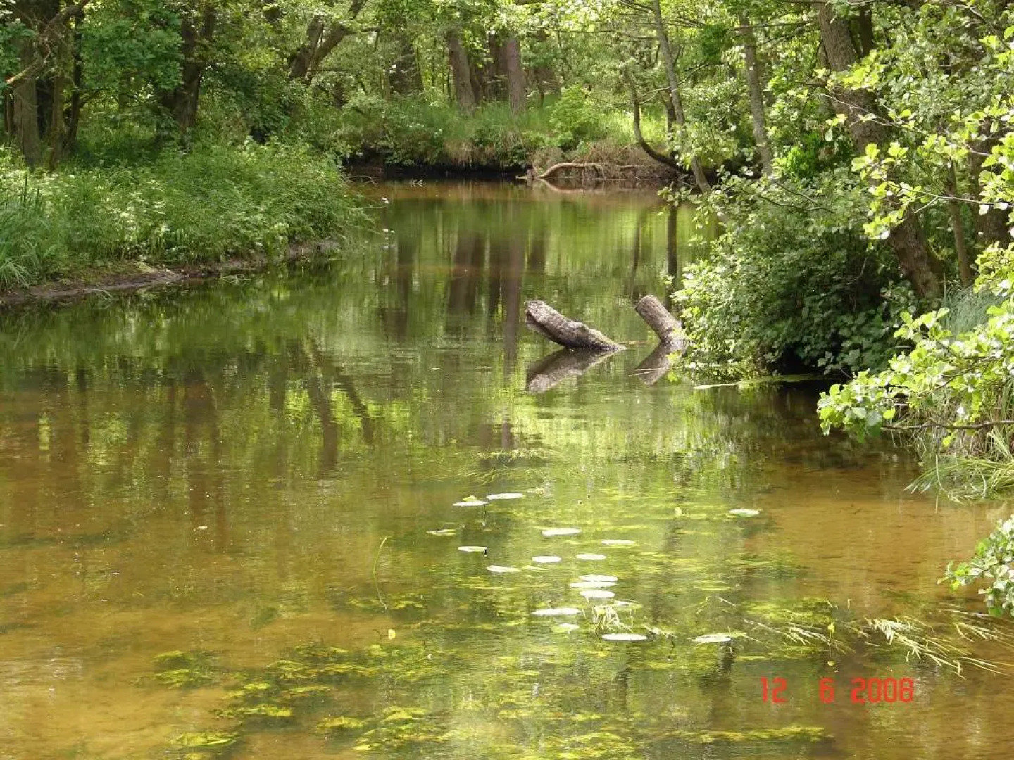 Domki Letniskowe Solaris