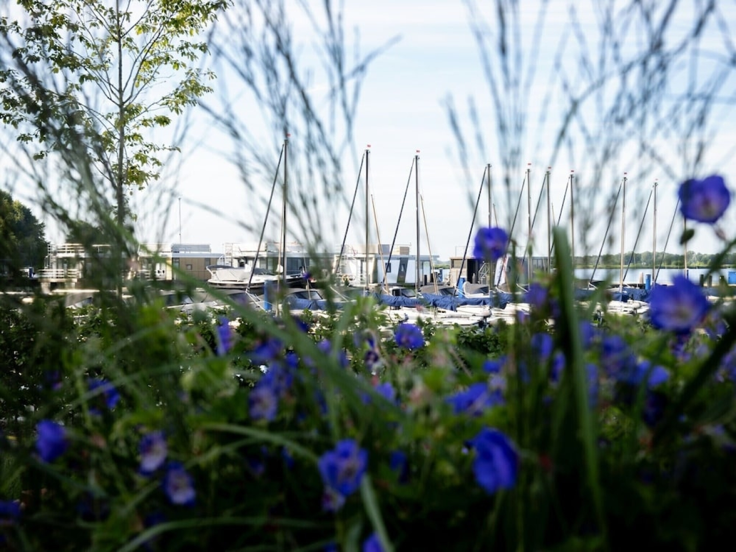 Bright Apartment Within Walking Distance of the Sneekermeer